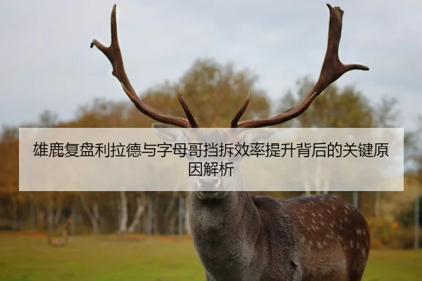 雄鹿复盘利拉德与字母哥挡拆效率提升背后的关键原因解析