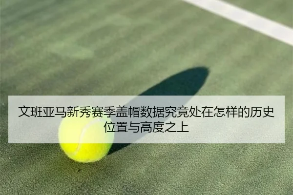 文班亚马新秀赛季盖帽数据究竟处在怎样的历史位置与高度之上